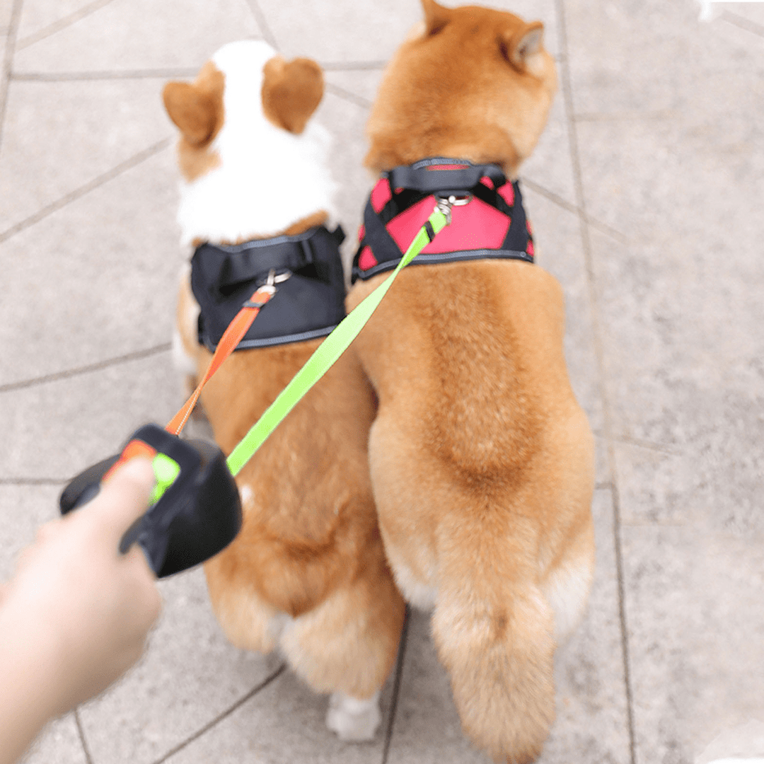 Lisslune | DoubleDog Retractable Dual Dog Lead with Anti-Tangle Swivel & Built-in Torch – 4m Extendable for Two Dogs