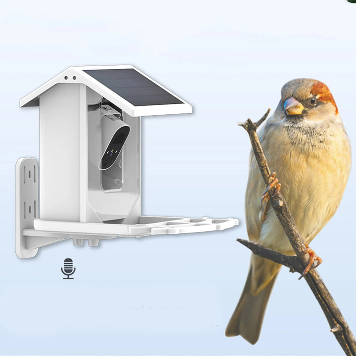 Lisslune | Smart Solar Bird Feeder with Bird Recognition – Weatherproof Garden Feeder