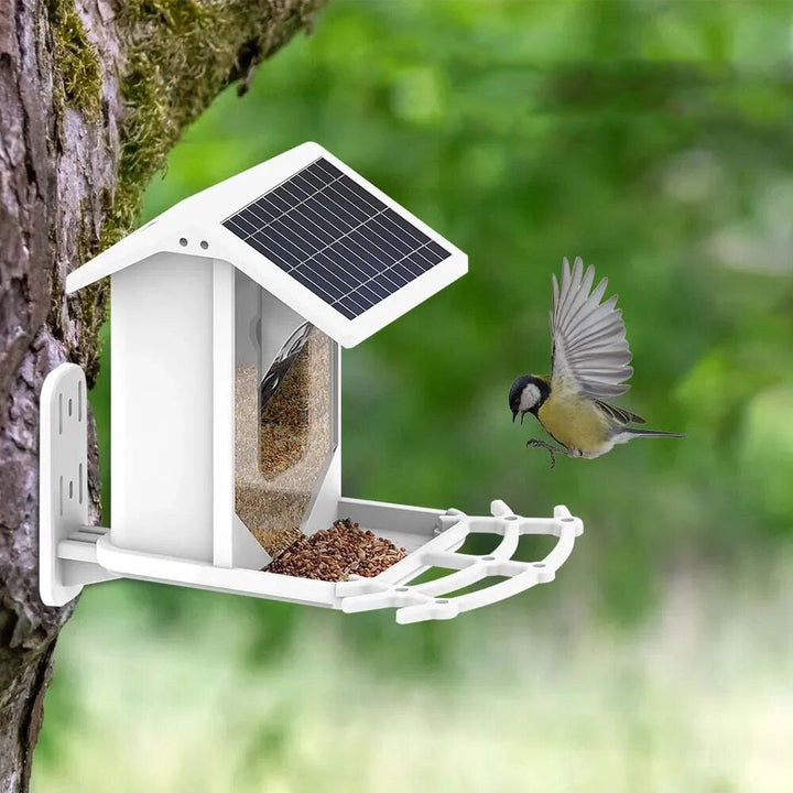 Lisslune | Smart Solar Bird Feeder with Bird Recognition – Weatherproof Garden Feeder
