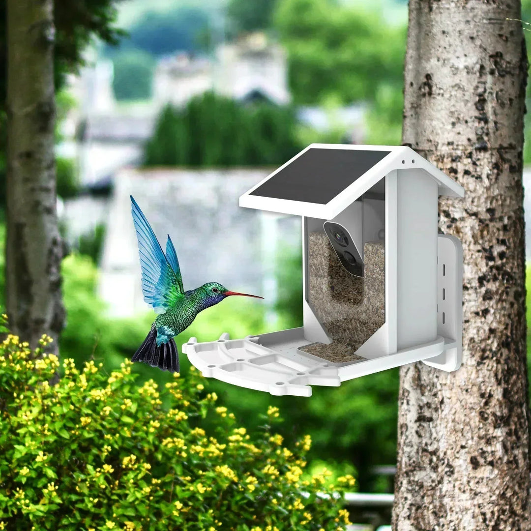 Lisslune | Smart Solar Bird Feeder with Bird Recognition – Weatherproof Garden Feeder