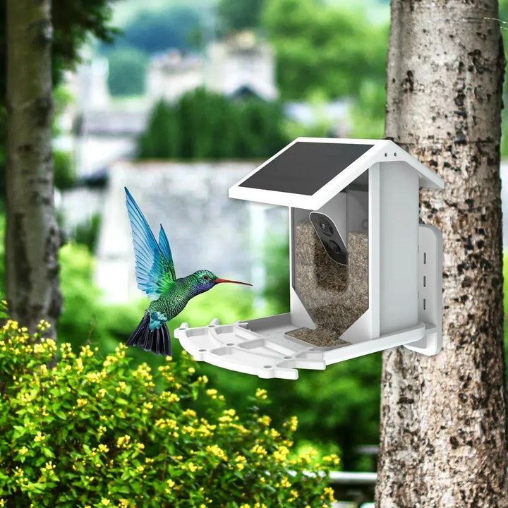 Lisslune | Smart Solar Bird Feeder with Bird Recognition – Weatherproof Garden Feeder