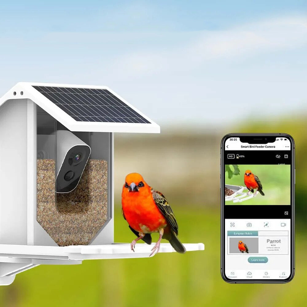 Lisslune | Smart Solar Bird Feeder with Bird Recognition – Weatherproof Garden Feeder
