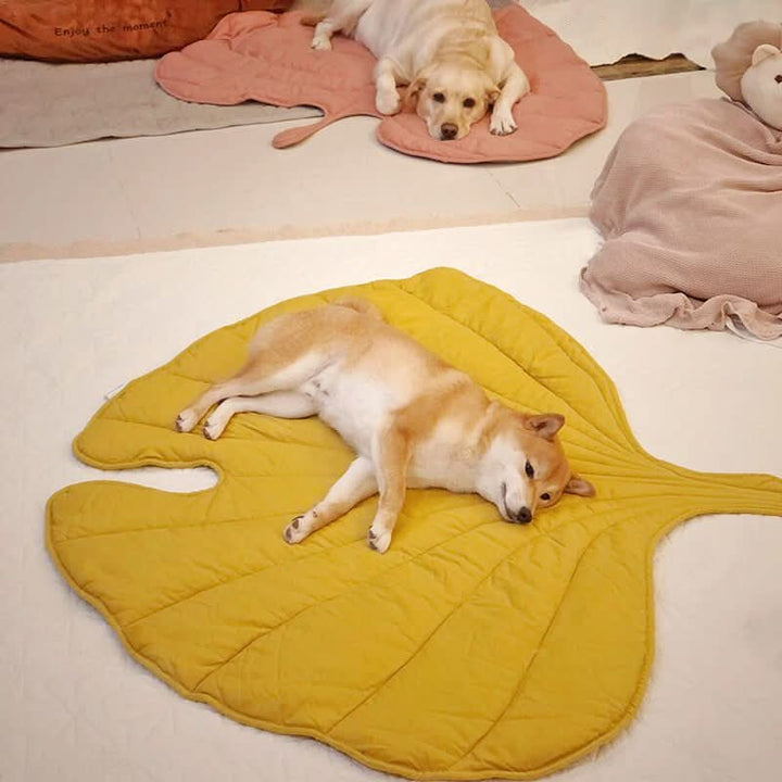 Lisslune | LeafNest Dog Bed – Comfortable Leaf-shaped Bed made of Cotton and Polyester