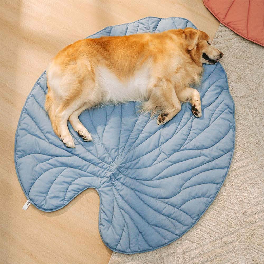 Lisslune | LeafNest Dog Bed – Comfortable Leaf-shaped Bed made of Cotton and Polyester