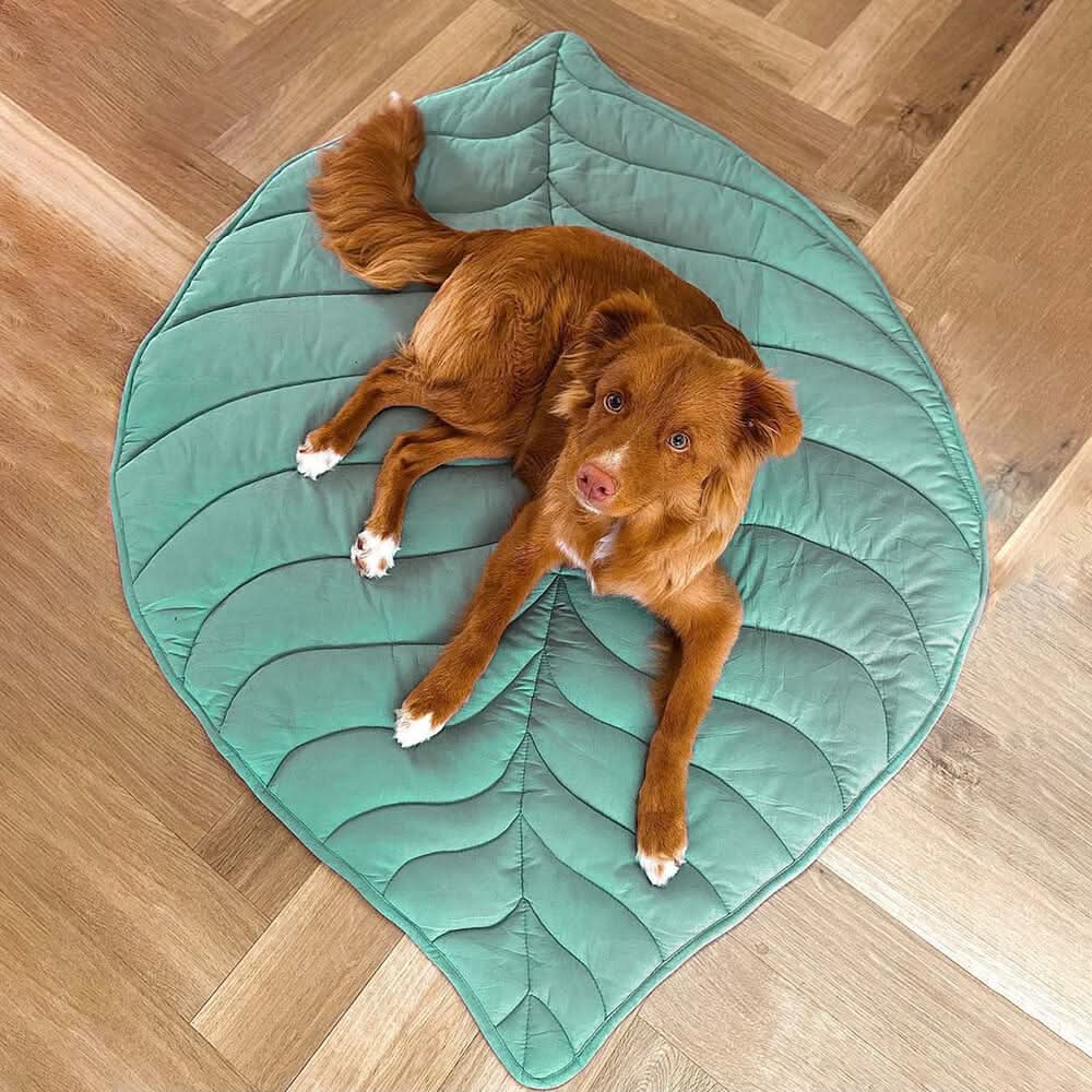 Lisslune | LeafNest Dog Bed – Comfortable Leaf-shaped Bed made of Cotton and Polyester