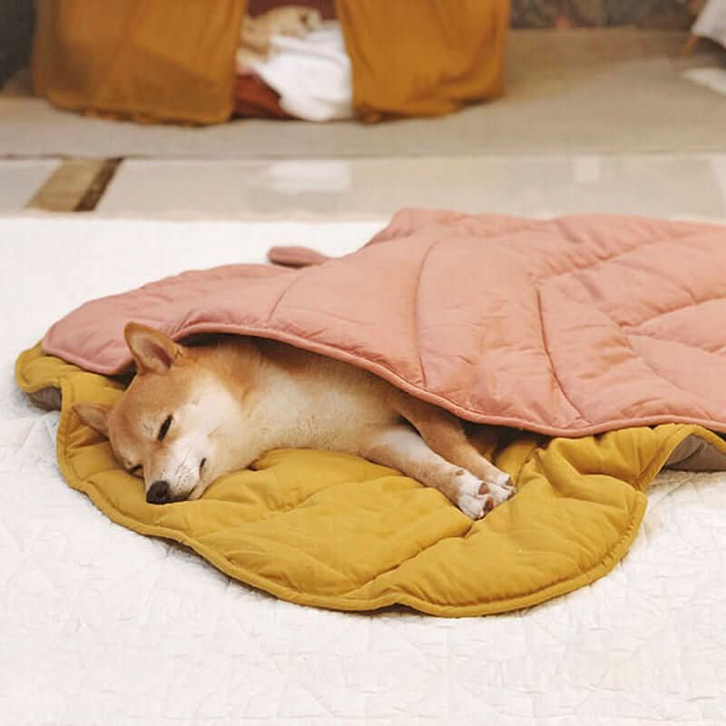 Lisslune | LeafNest Dog Bed – Comfortable Leaf-shaped Bed made of Cotton and Polyester