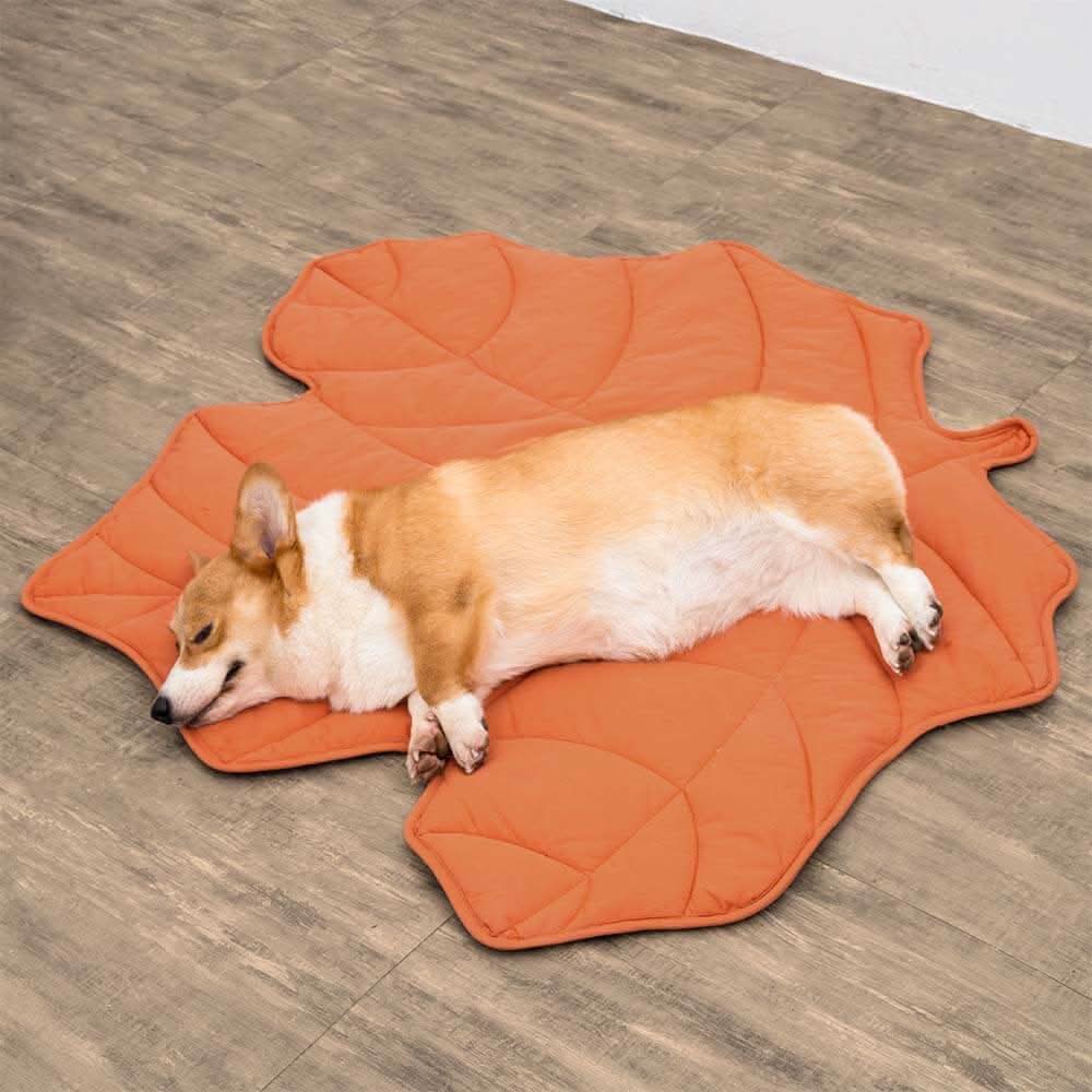 Lisslune | LeafNest Dog Bed – Comfortable Leaf-shaped Bed made of Cotton and Polyester