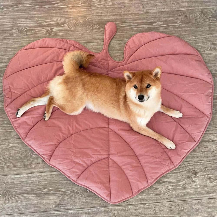 Lisslune | LeafNest Dog Bed – Comfortable Leaf-shaped Bed made of Cotton and Polyester