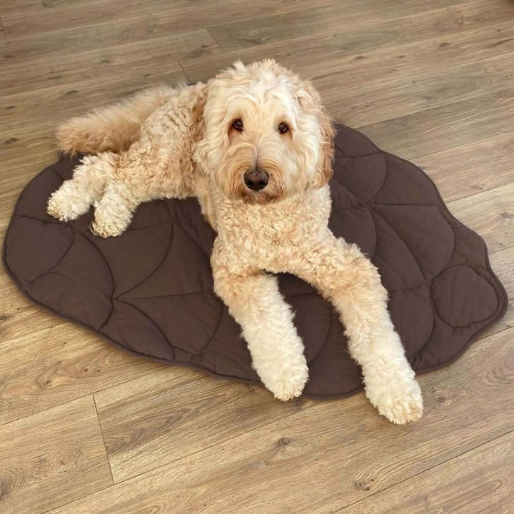 Lisslune | LeafNest Dog Bed – Comfortable Leaf-shaped Bed made of Cotton and Polyester