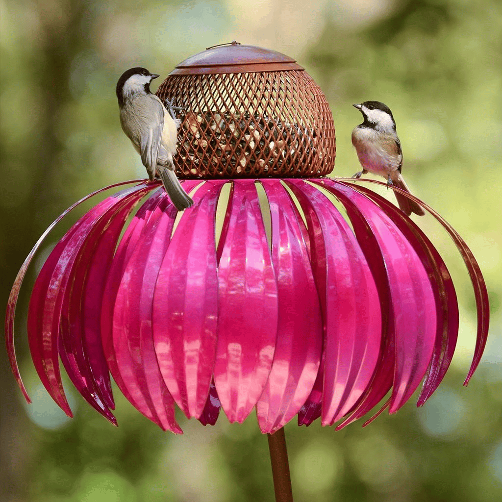 Lisslune | Elegant cone feeder with natural design