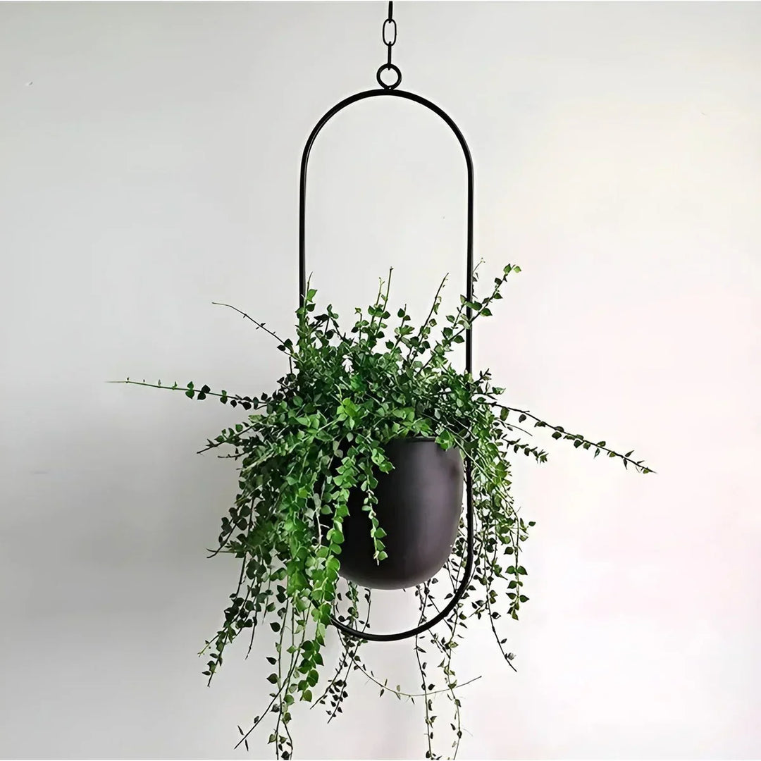 Lisslune | PetalAura - Verdura Oasis Plant Pot