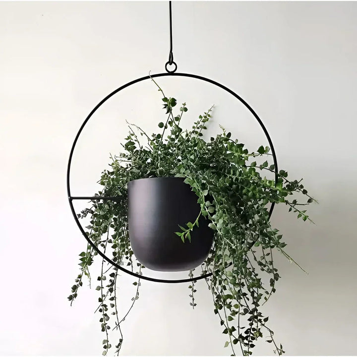 Lisslune | PetalAura - Verdura Oasis Plant Pot