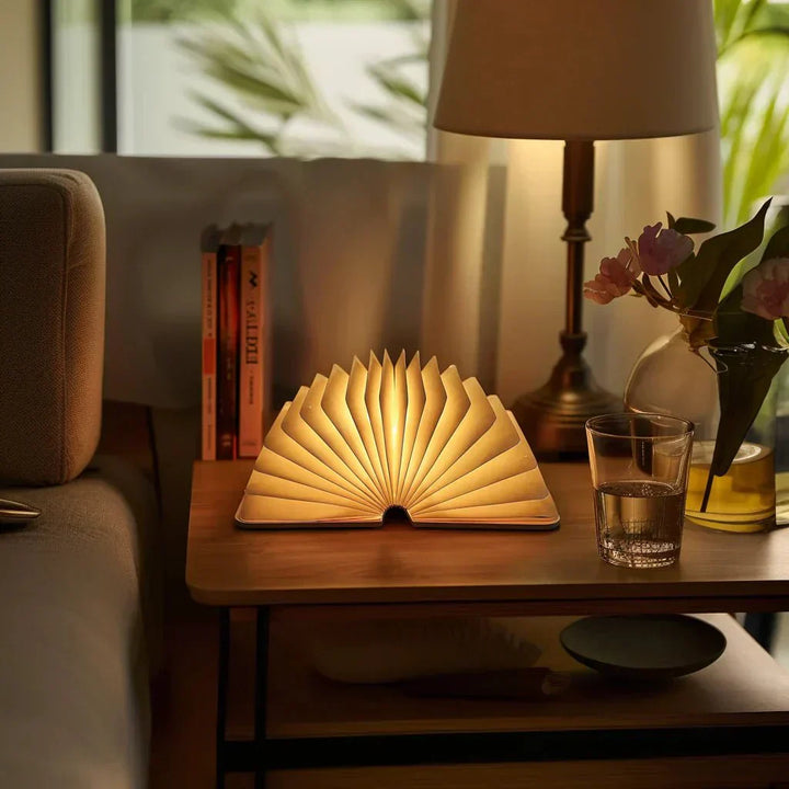 Lisslune | Frendorf Book Light