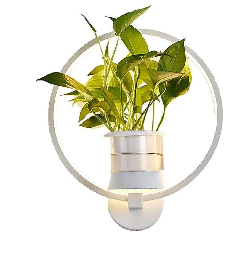 Lisslune | Botanical Wall Lamp - wall lamp with plant for stylish illumination