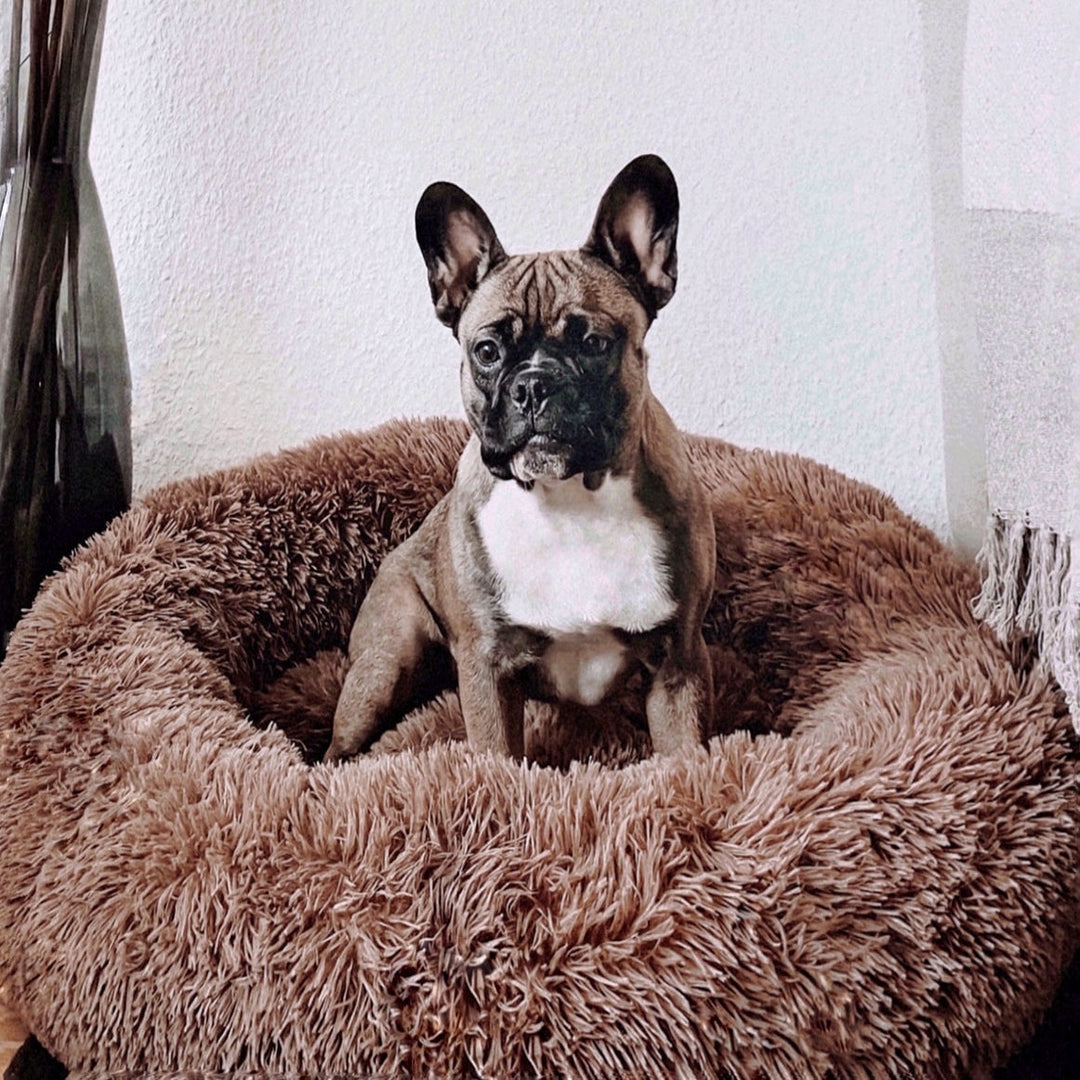 Lisslune | FluffyNest Comfort Dog Bed – Orthopedic Plush Sleeping Cushion for Dogs