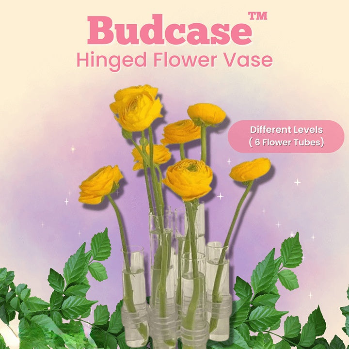 Lisslune | Budcase Hinged Flower Vases