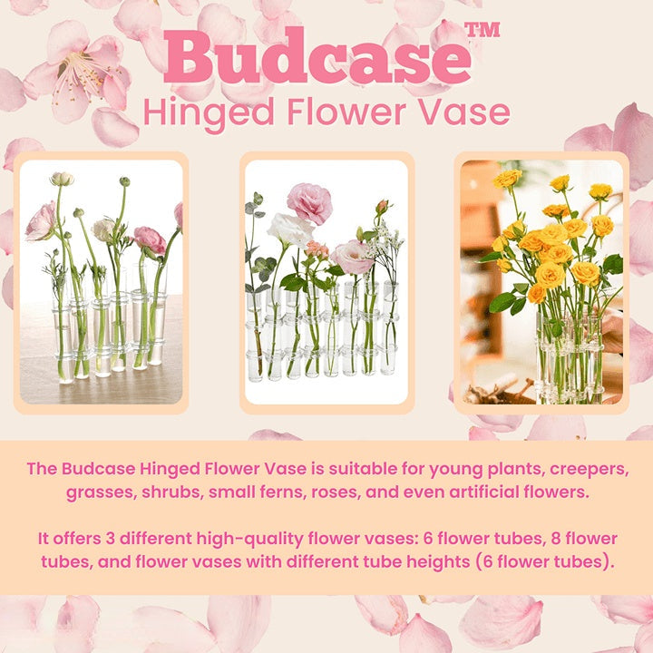 Lisslune | Budcase Hinged Flower Vases