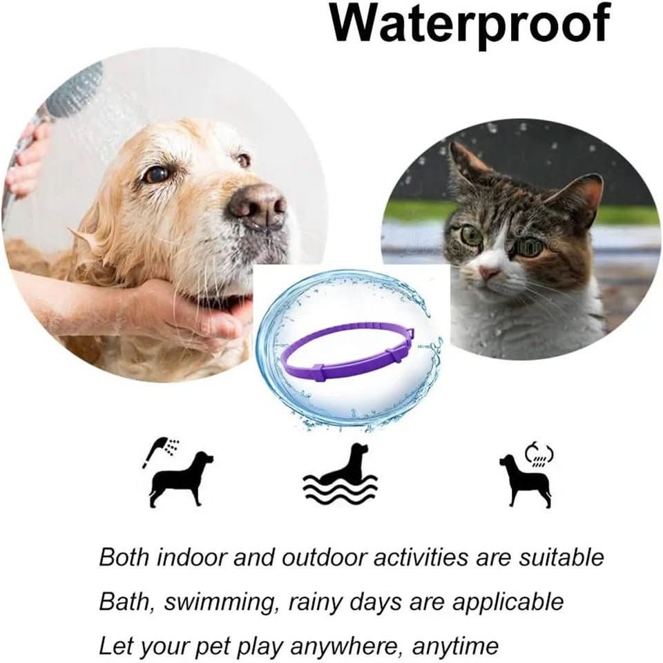 Lisslune | Calming collar with pheromones & essential oils for dogs