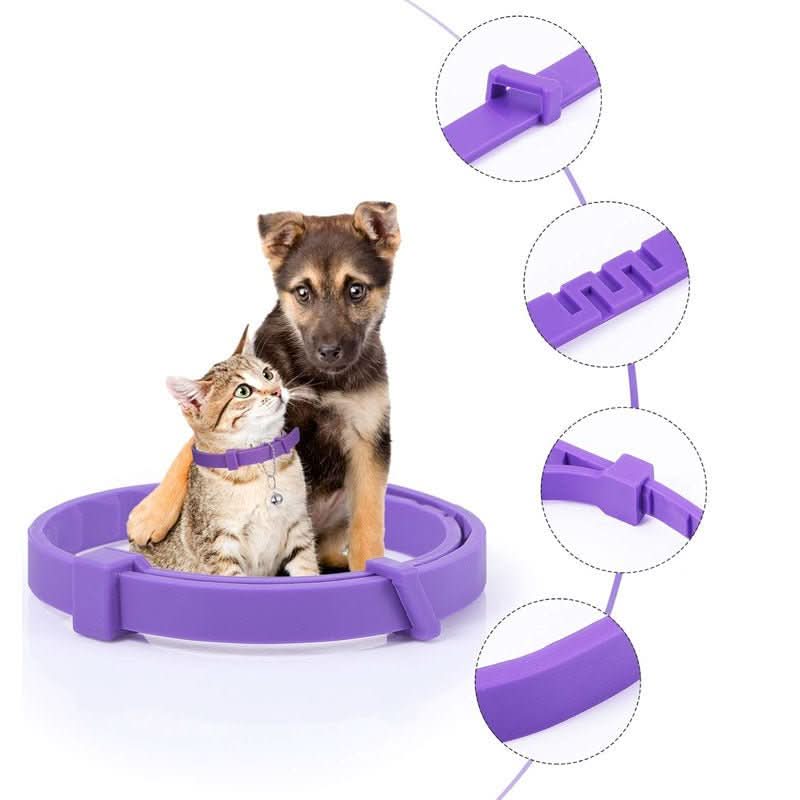 Lisslune | CALMDOG – Calming collar with pheromones & essential oils for dogs