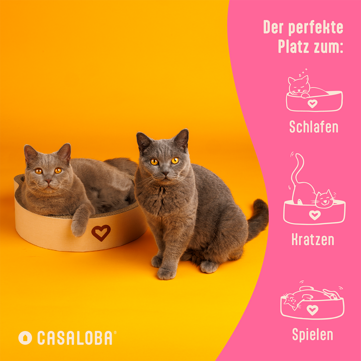 Lisslune | Cat scratching bed Scratching, Sleeping & Playing