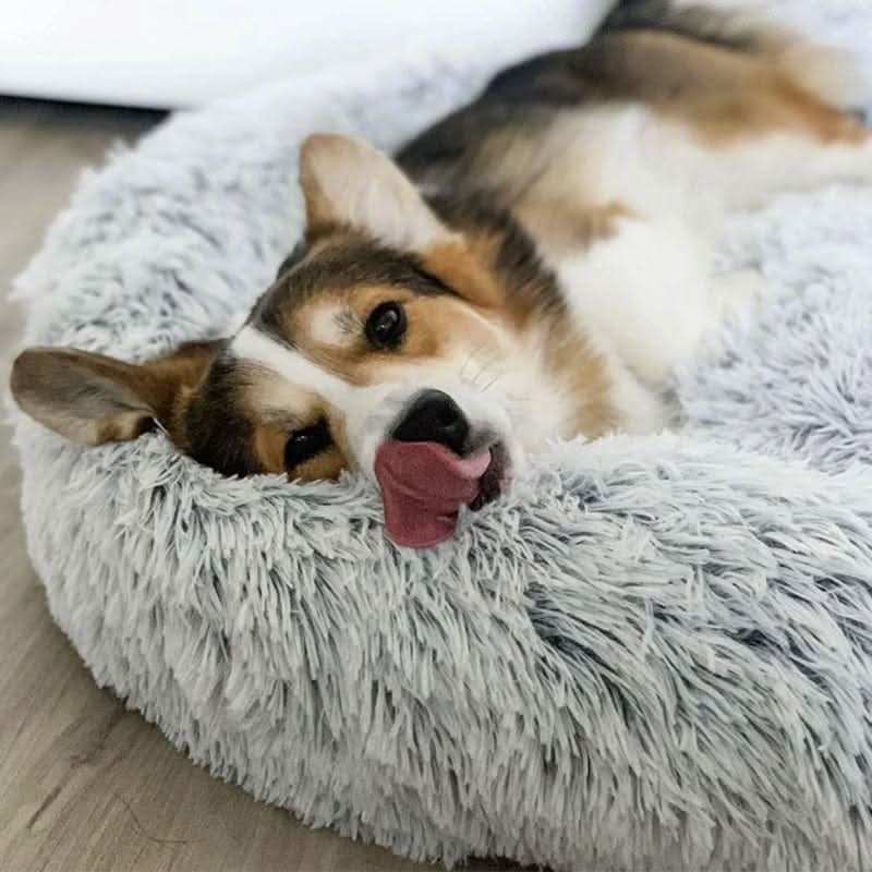 Lisslune | Anti-Stress Dog Bed with Soft Synthetic Fur & Supportive Padding