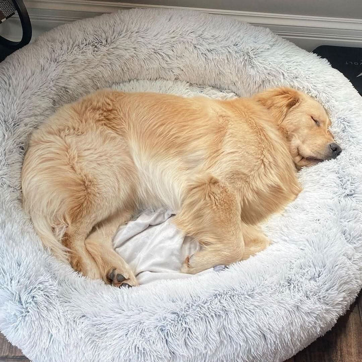 Lisslune | Anti-Stress Dog Bed with Soft Synthetic Fur & Supportive Padding