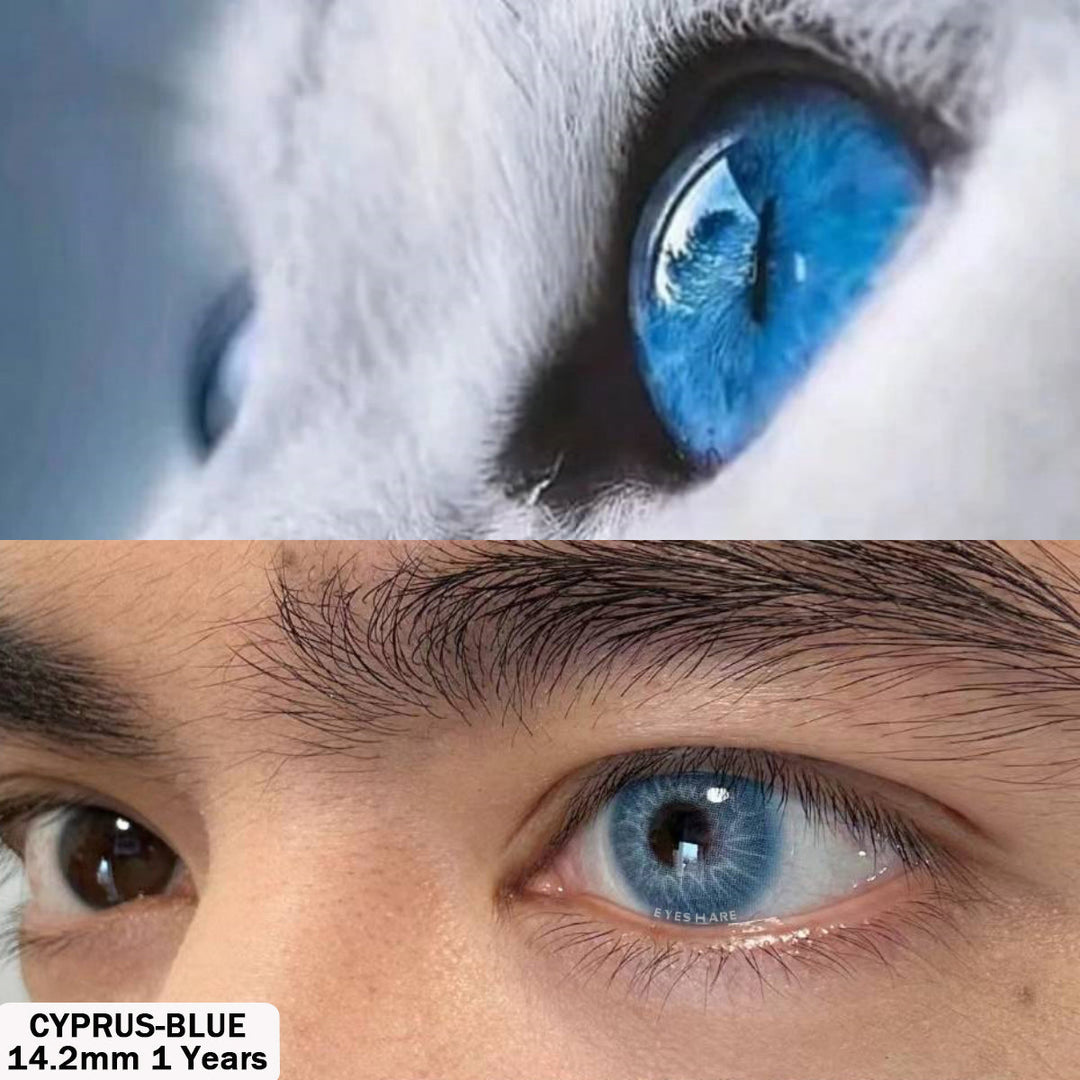 Rynx Cyprus Blue 14.2mm 1 Pair | 1 Year