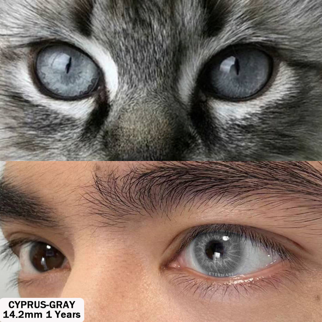 Rynx Cyprus Gray 14.2 mm 1 Pair | 1 Year