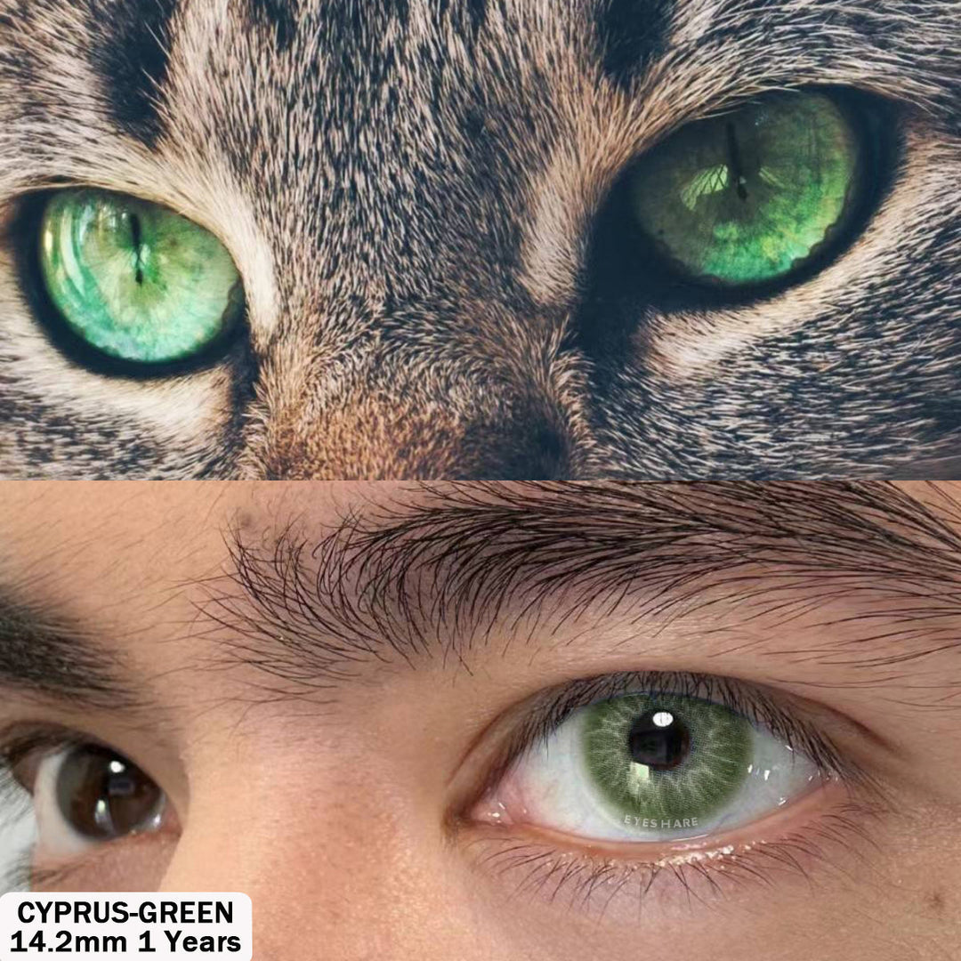 Rynx Cyprus Green 14.2 mm 1 Pair | 1 Year
