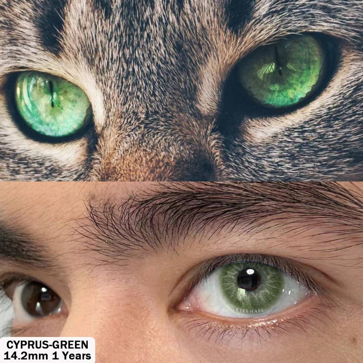 Rynx Cyprus Green 14.2 mm 1 Pair | 1 Year
