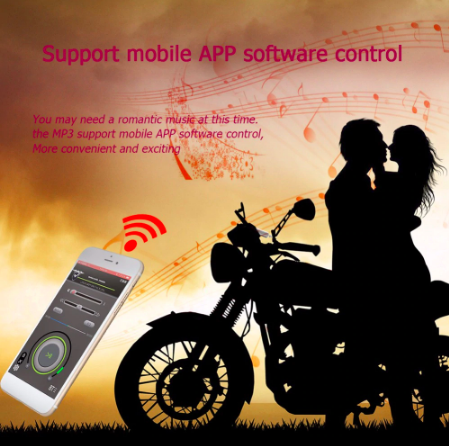 Lisslune | Motorcycle Speakers