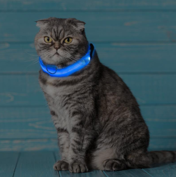 Lisslune | Light Up Dog Collar - Flashing Dog Collar
