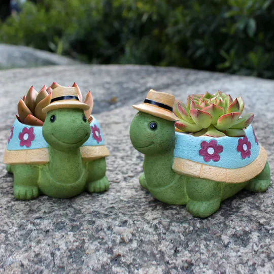 Lisslune | TurtleSprout – A legendary twist in gardening with a turtle shape