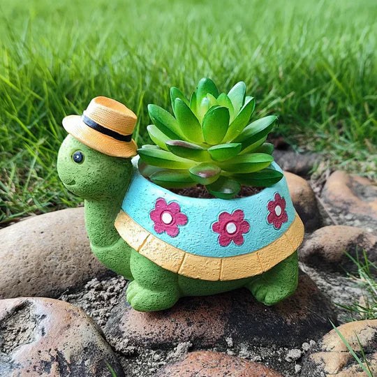 Lisslune | TurtleSprout – A legendary twist in gardening with a turtle shape