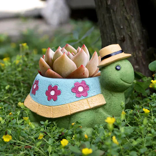 Lisslune | TurtleSprout – A legendary twist in gardening with a turtle shape