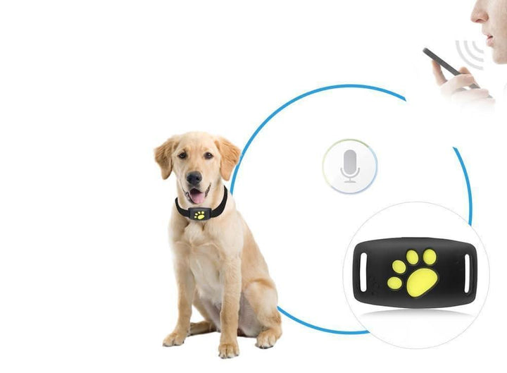 Lisslune | Real-time Cat Tracker without Subscription