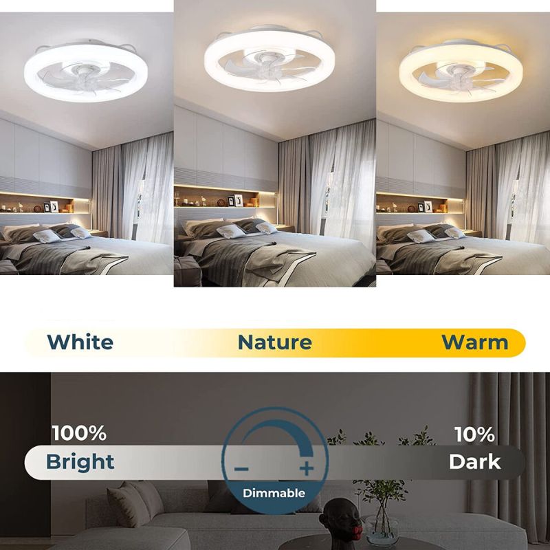 Lisslune | Modern Ceiling Fan with LED Lights