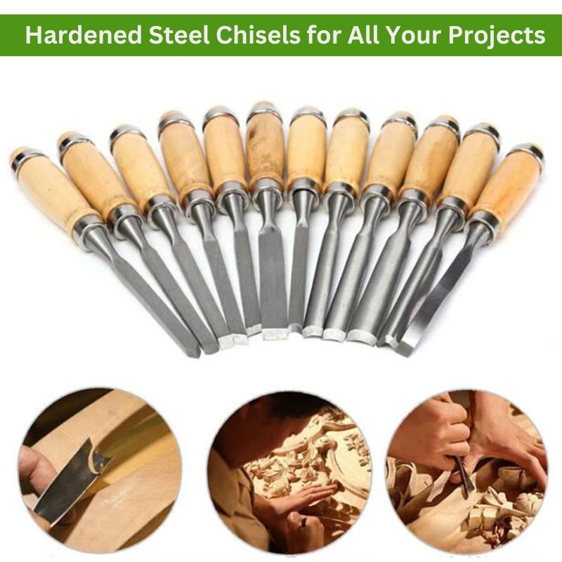 Lisslune | 12 Pieces Wood Carving Chisels Set