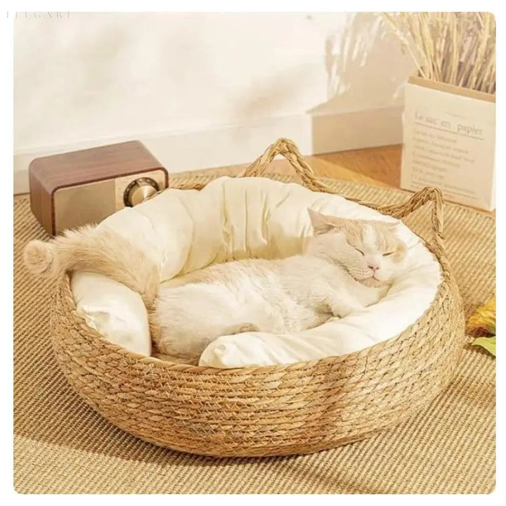 Lisslune | DreamPaws - The ultimate comfort bed for cats