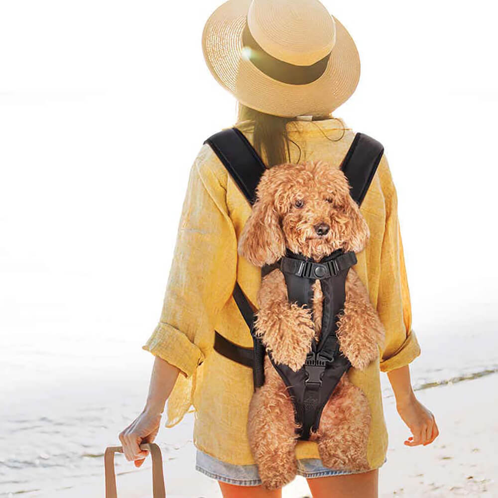 Lisslune | Cockpit Dog Bag – Comfortable Carry Bag for Small Dogs