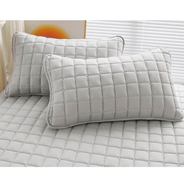 Lisslune | Comfort Encapsulated Waterproof Mattress Protector