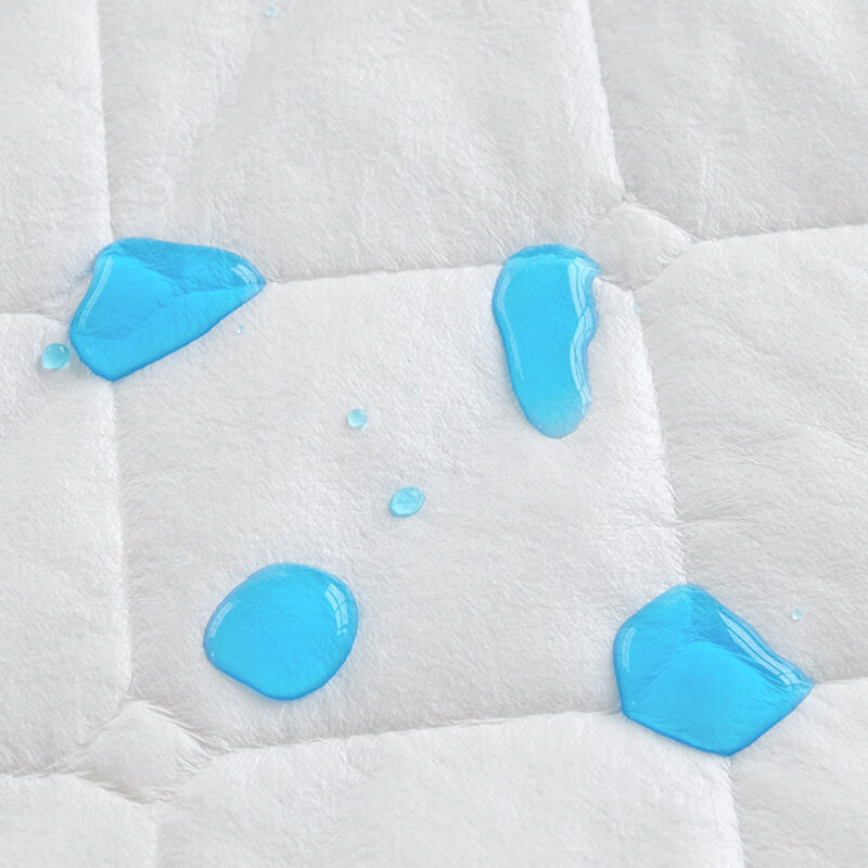 Lisslune | Comfort Encapsulated Waterproof Mattress Protector