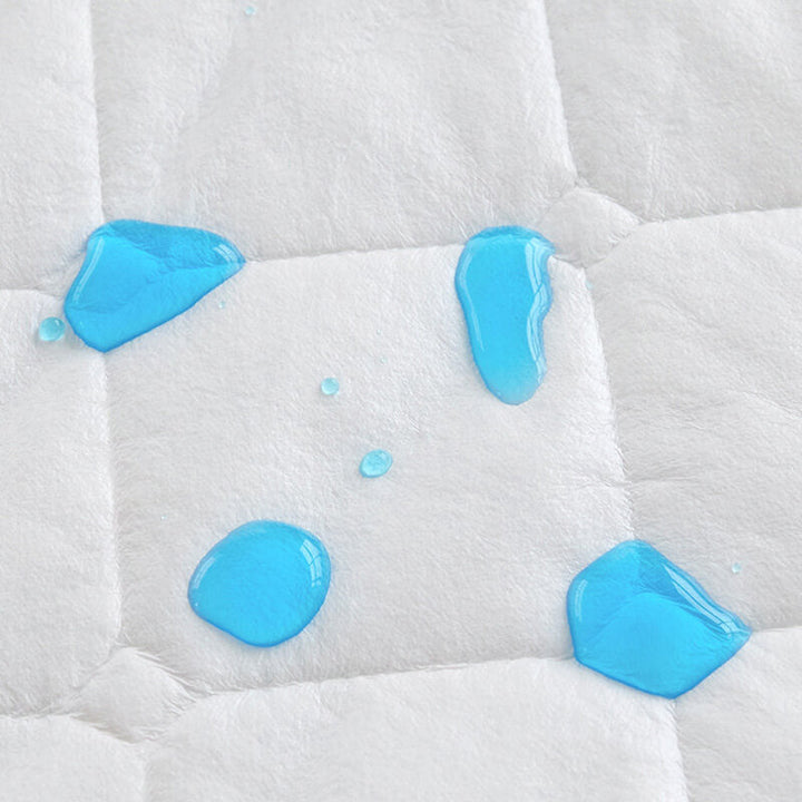Lisslune | Comfort Encapsulated Waterproof Mattress Protector