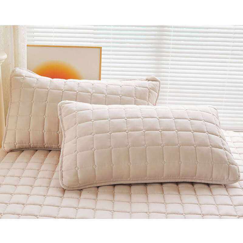 Lisslune | Comfort Encapsulated Waterproof Mattress Protector