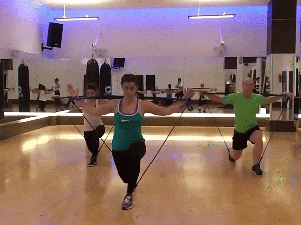 Lisslune | Coreculpt Fitness Bar – Home training with Pilates & strength exercises