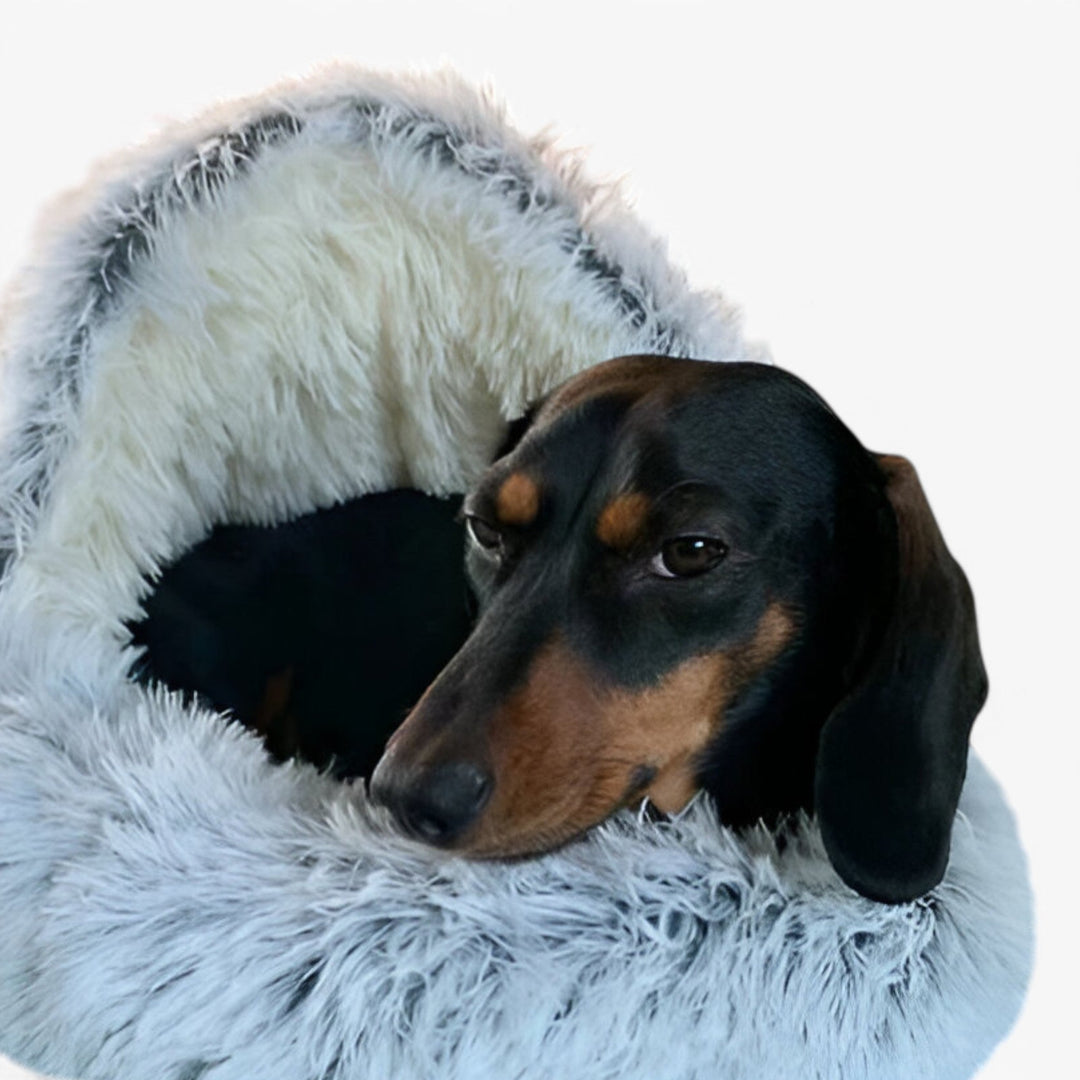 Lisslune | Soft Winter Pet Bed with Washable Cover and Non-Slip Base