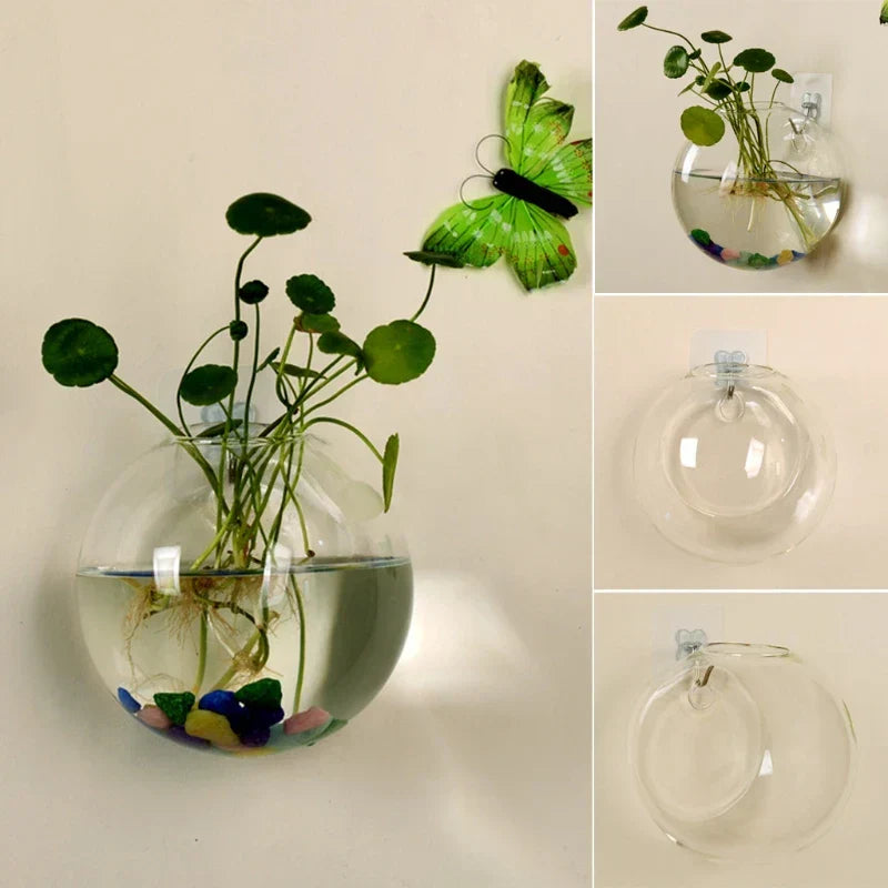Lisslune | AeroVase - Hydrologische Glasdecoratie