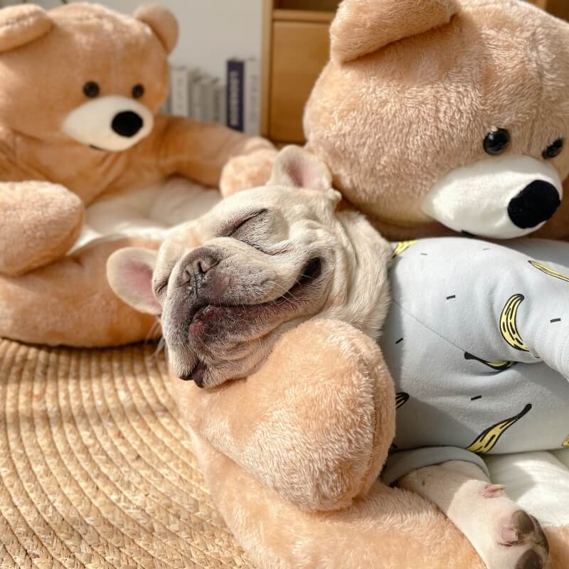 Lisslune | Cute detachable cuddly bear cat bed