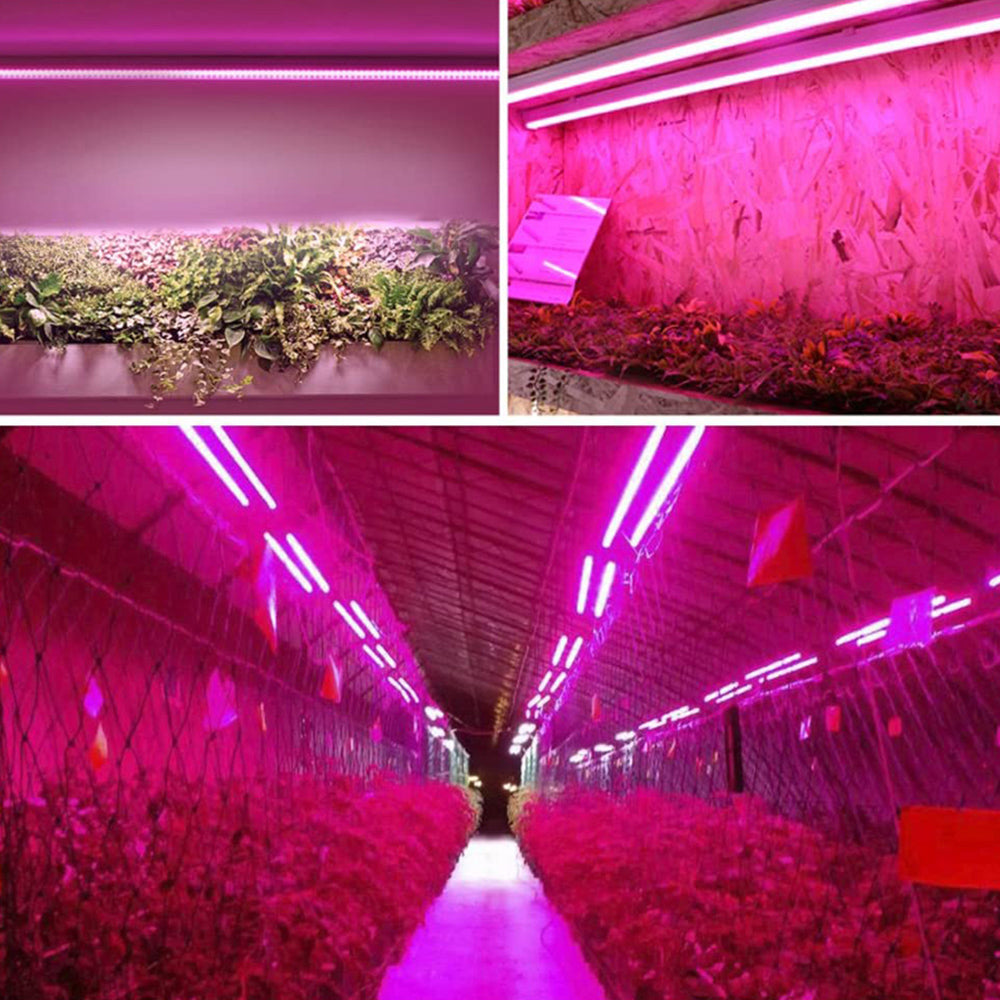 Lisslune | LED plant lamp with full spectrum lighting and pull switch for optimal plant growth