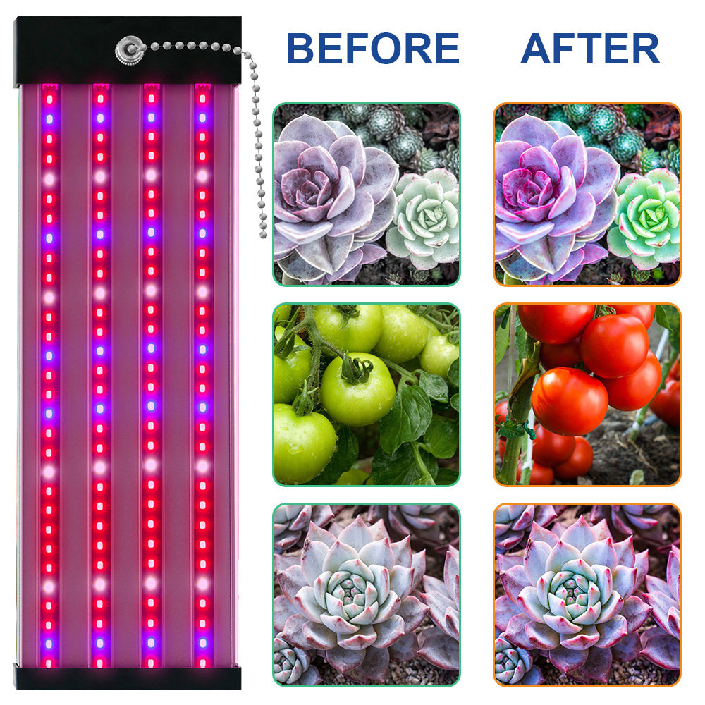 Lisslune | LED plant lamp with full spectrum lighting and pull switch for optimal plant growth